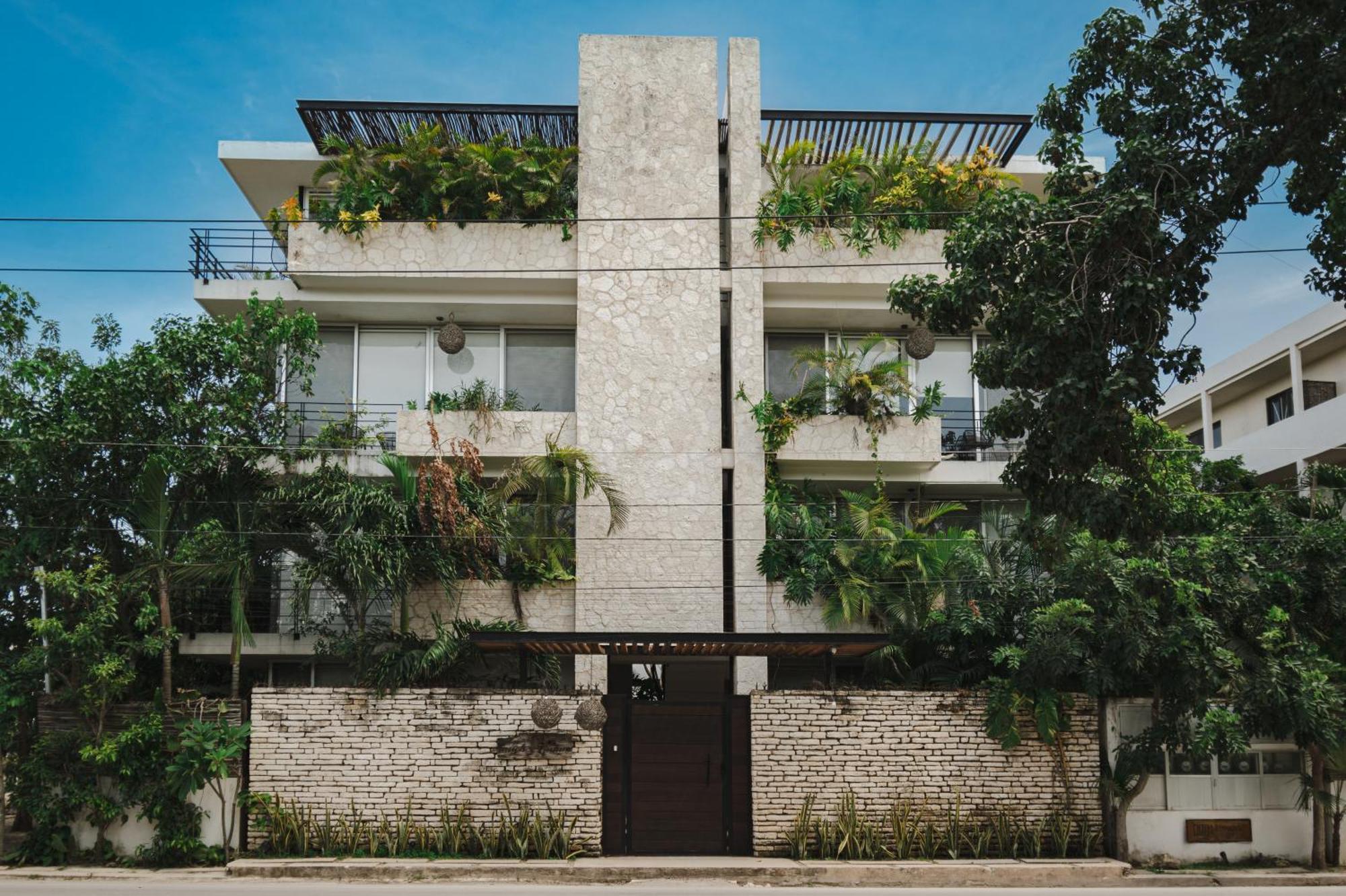 Tranquil 1-bedroom Oasis In Veleta, Apartment *