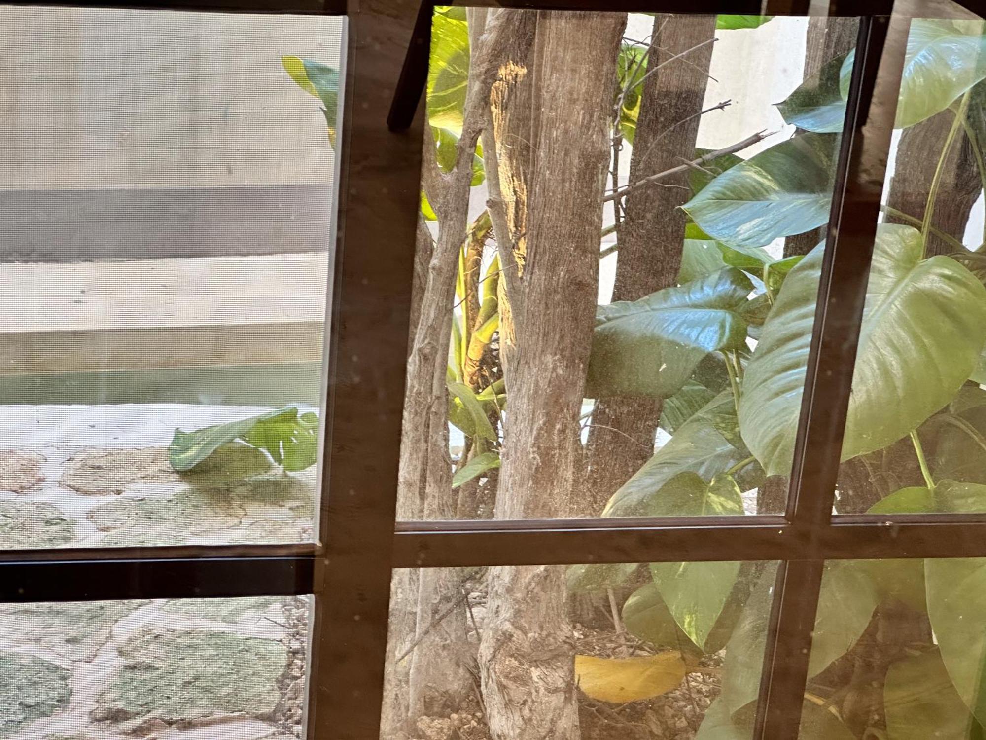 Aparthotel Casa Kobaab 3*