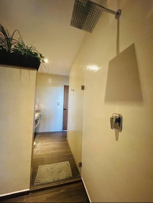 Apartment New Large Luxurious 1 Bedroom, 1 Bathroom In