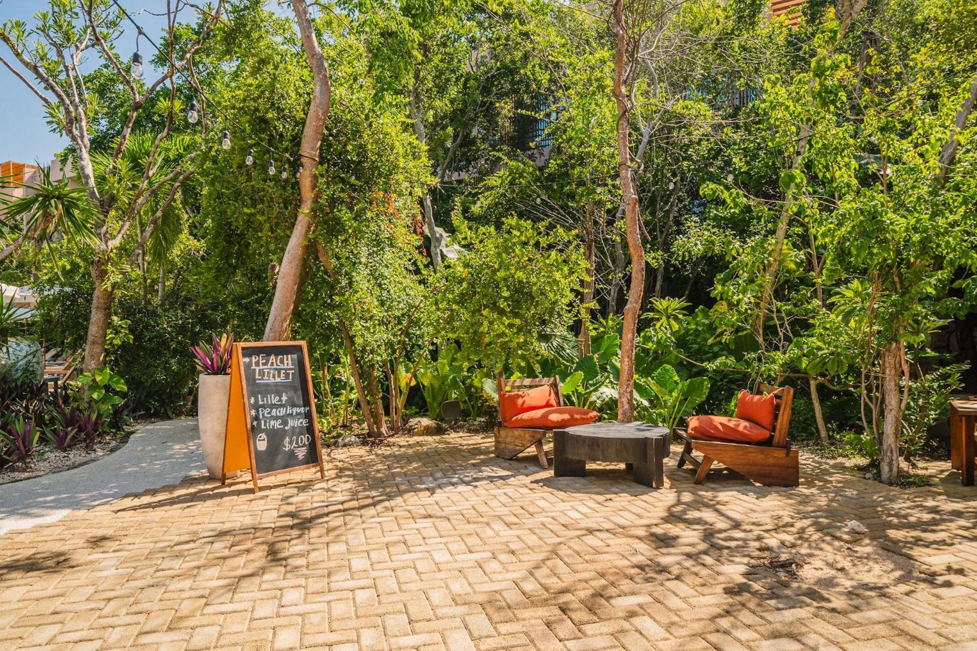 Divine 2br W Pool Gym Yoga Classes Restaurant Apartamento Tulum