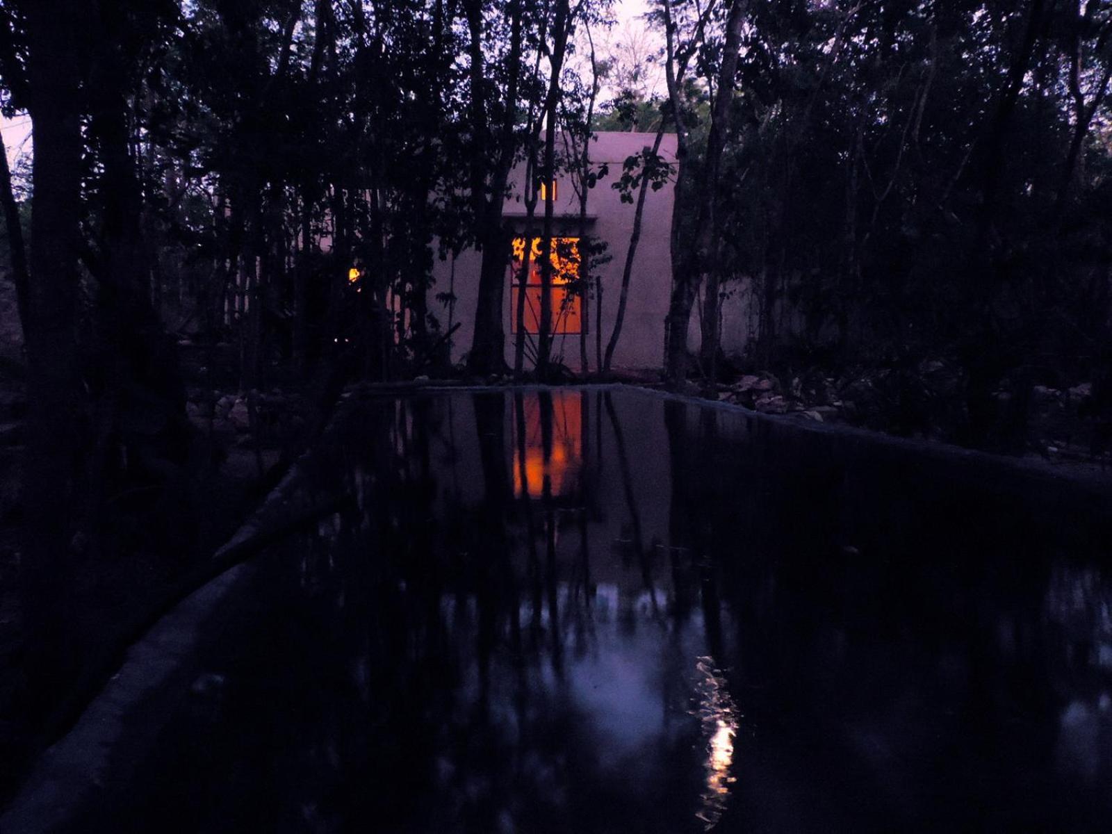 Barefoot Jungle
