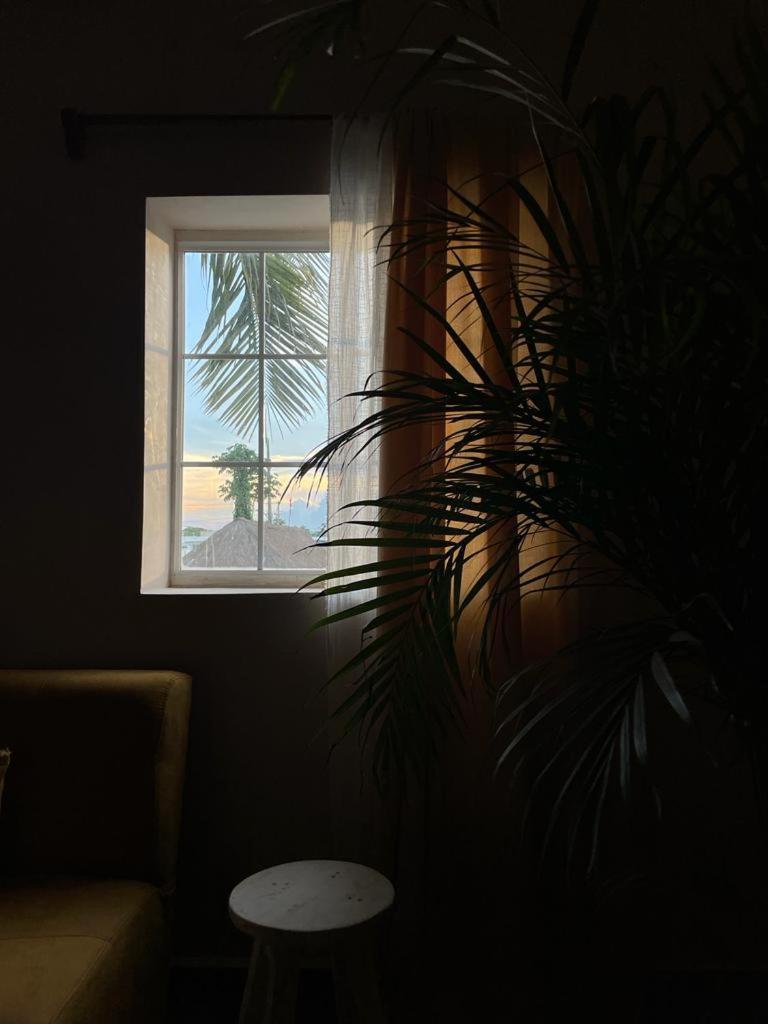 Gardenia Collective 4*