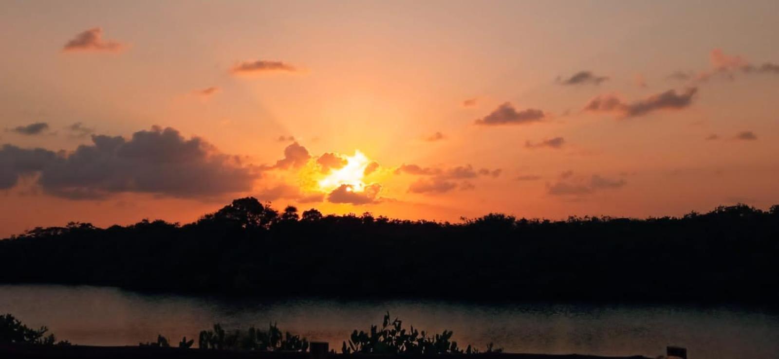 Casa Borush Glamping Fruit & Cenote Experience Luxury tent