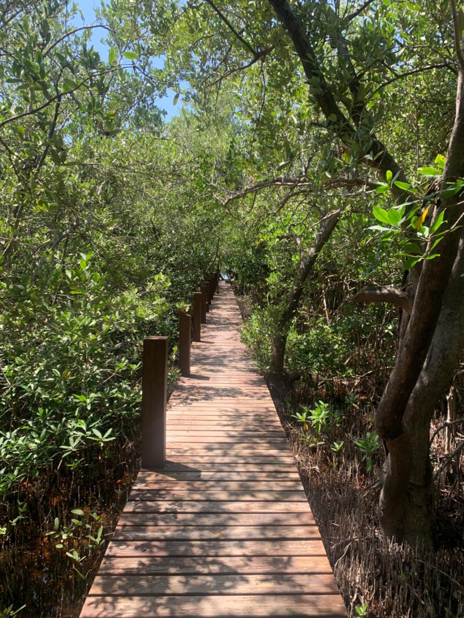 Casa Borush Glamping Fruit & Cenote Experience Luxury tent Tulum