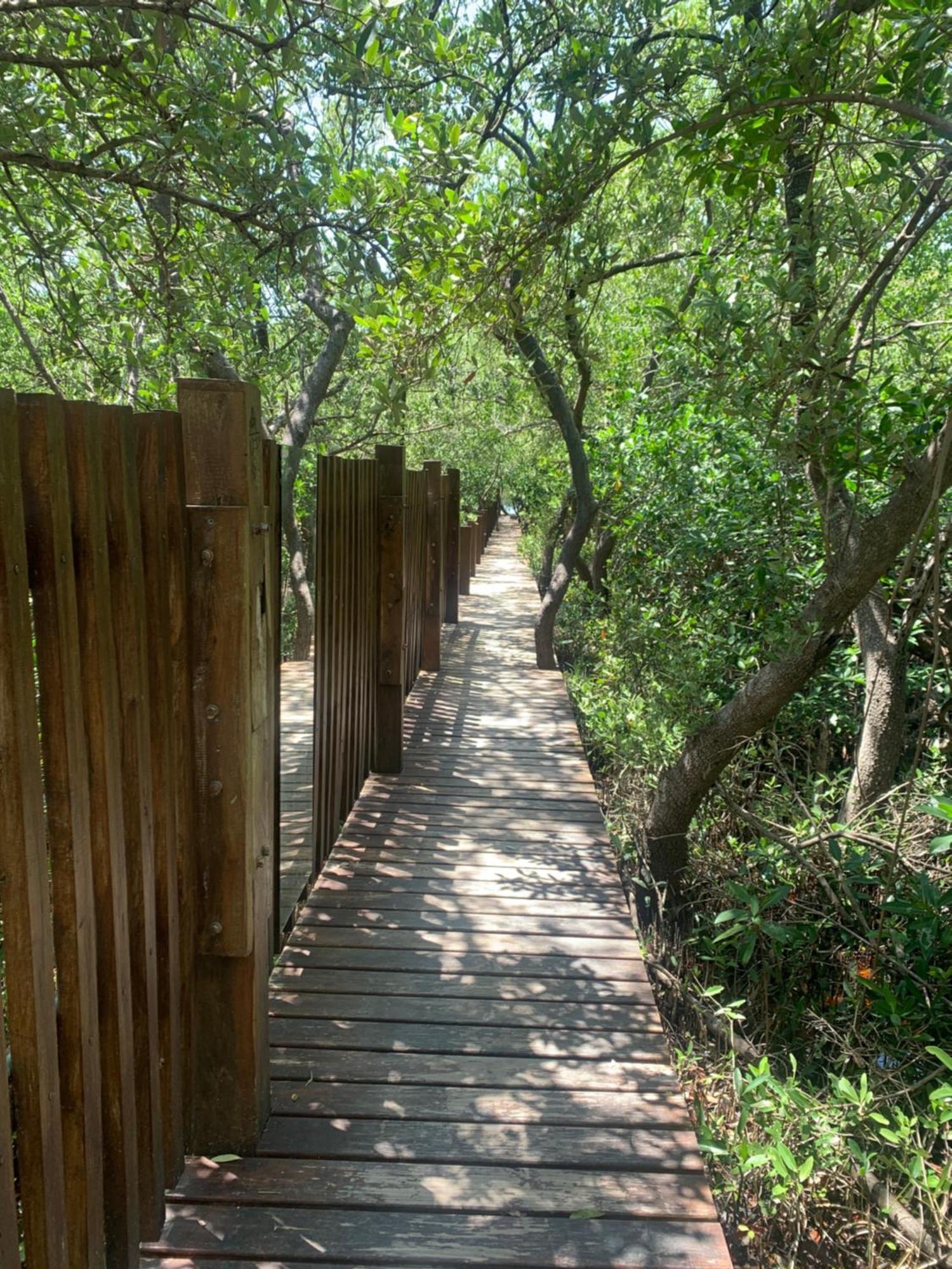 Casa Borush Glamping Fruit & Cenote Experience Luxury tent