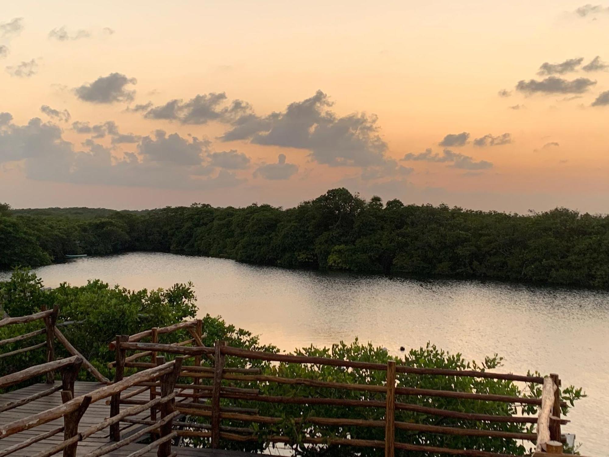 Casa Borush Glamping Fruit & Cenote Experience Luxury tent