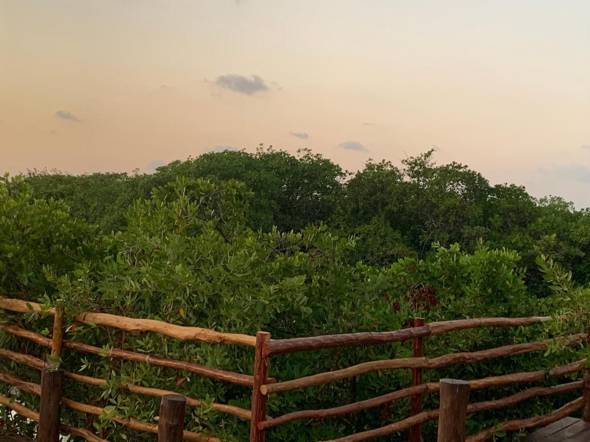 Luxury tent Casa Borush Glamping Fruit & Cenote Experience Tulum