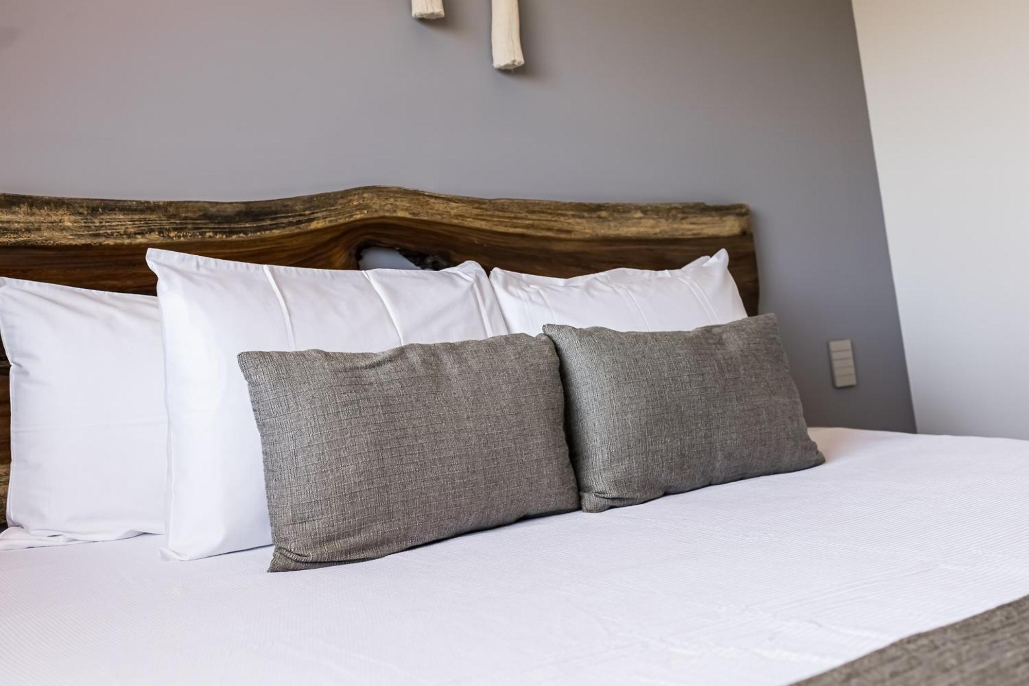 Apartment Breeze Oasis C- 203