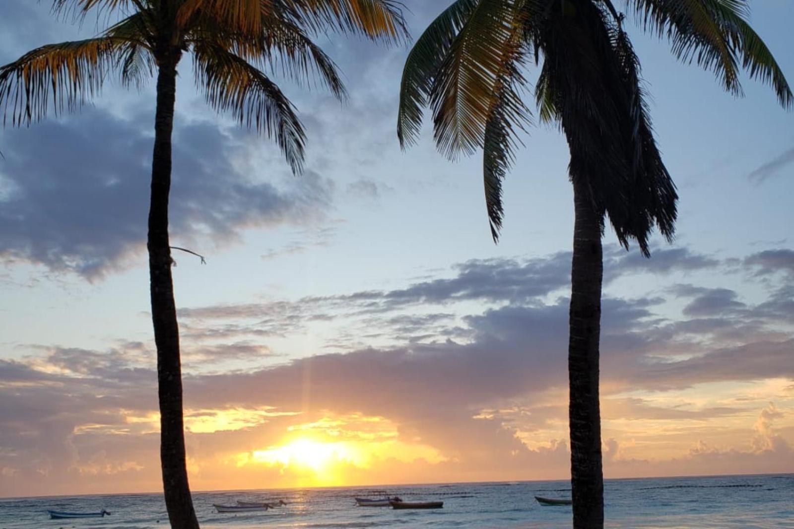 Apartment Kin And Shuttle