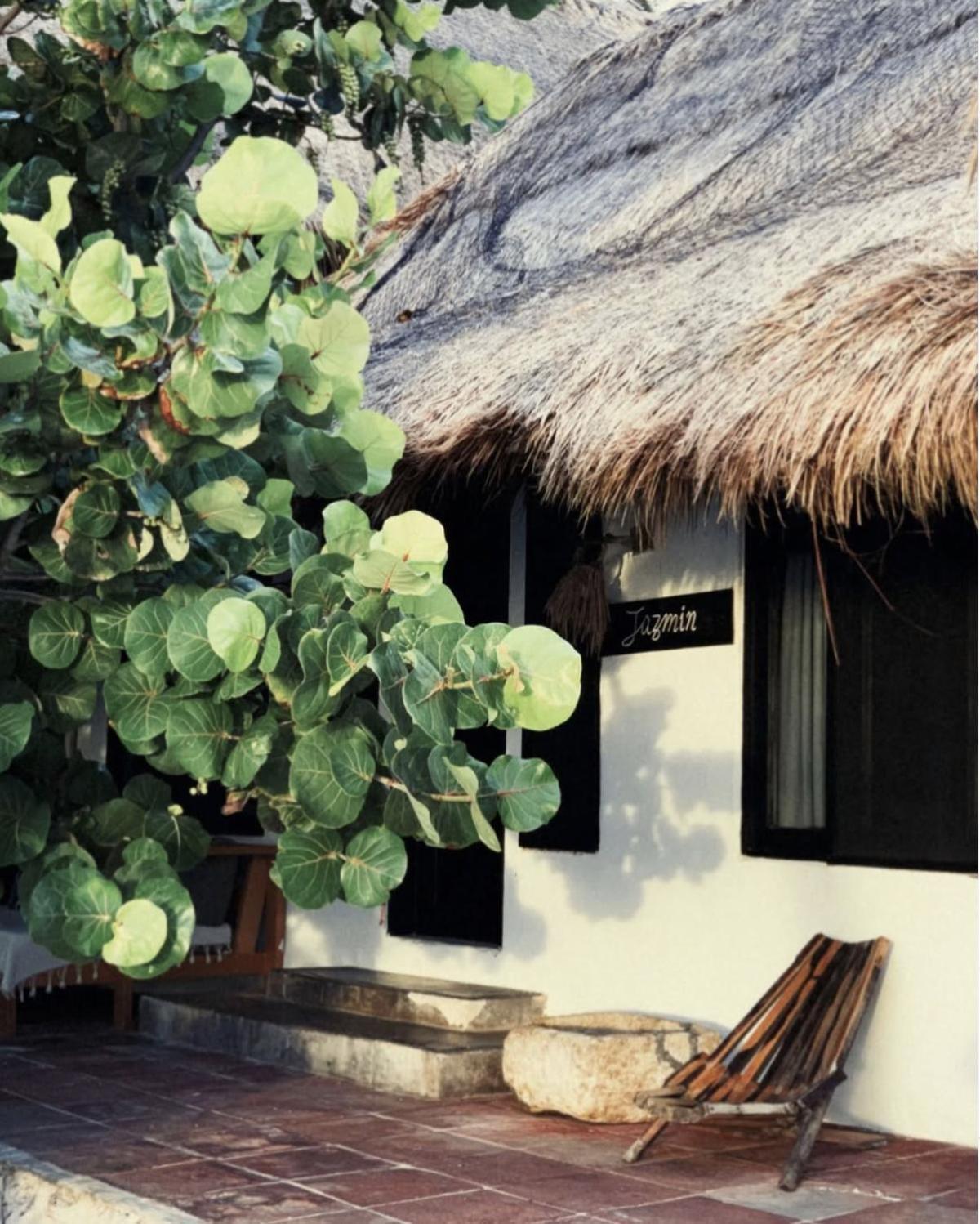Casa Violeta 3*