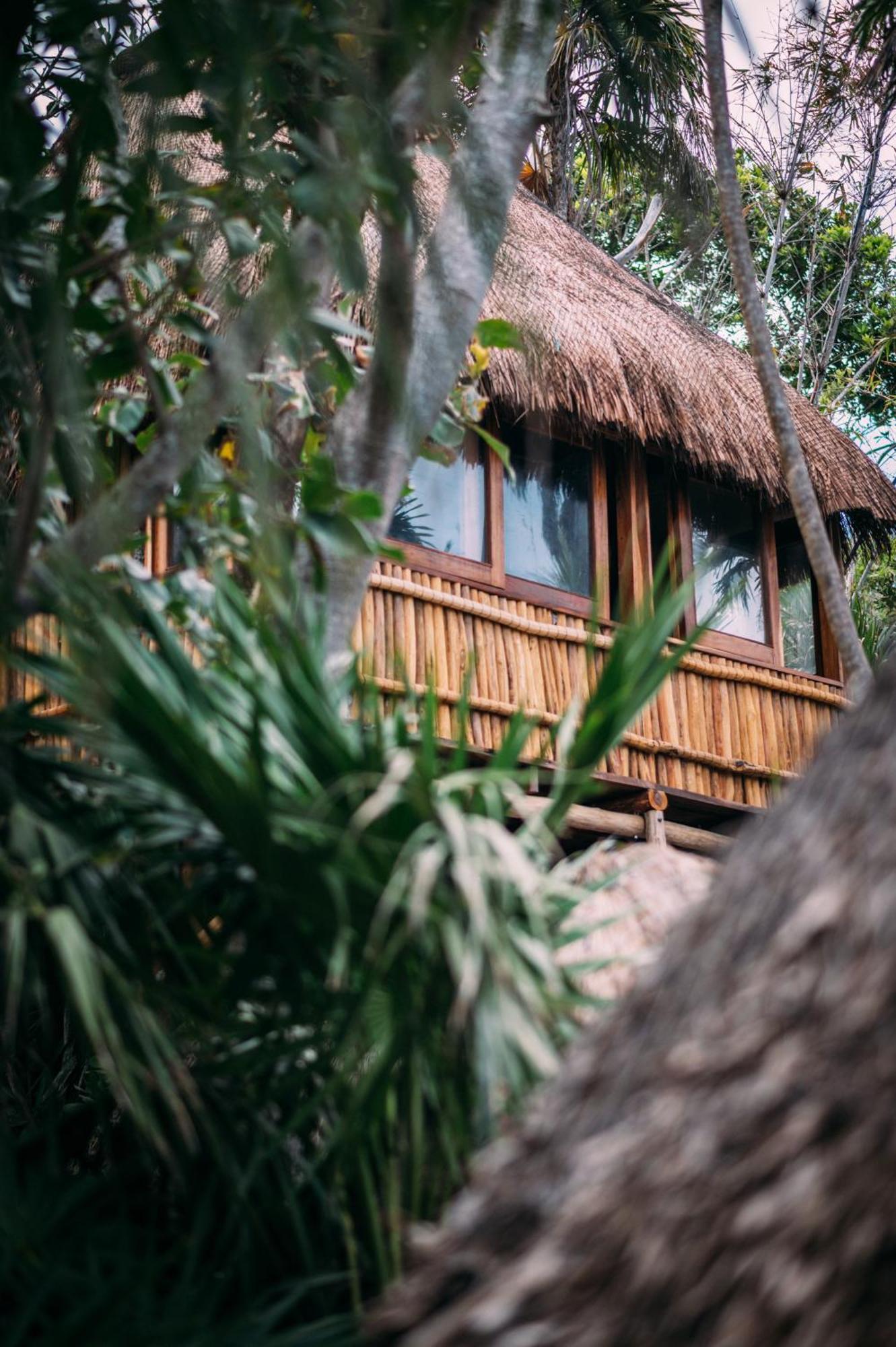 Diamante K - Inside National Park Hotel