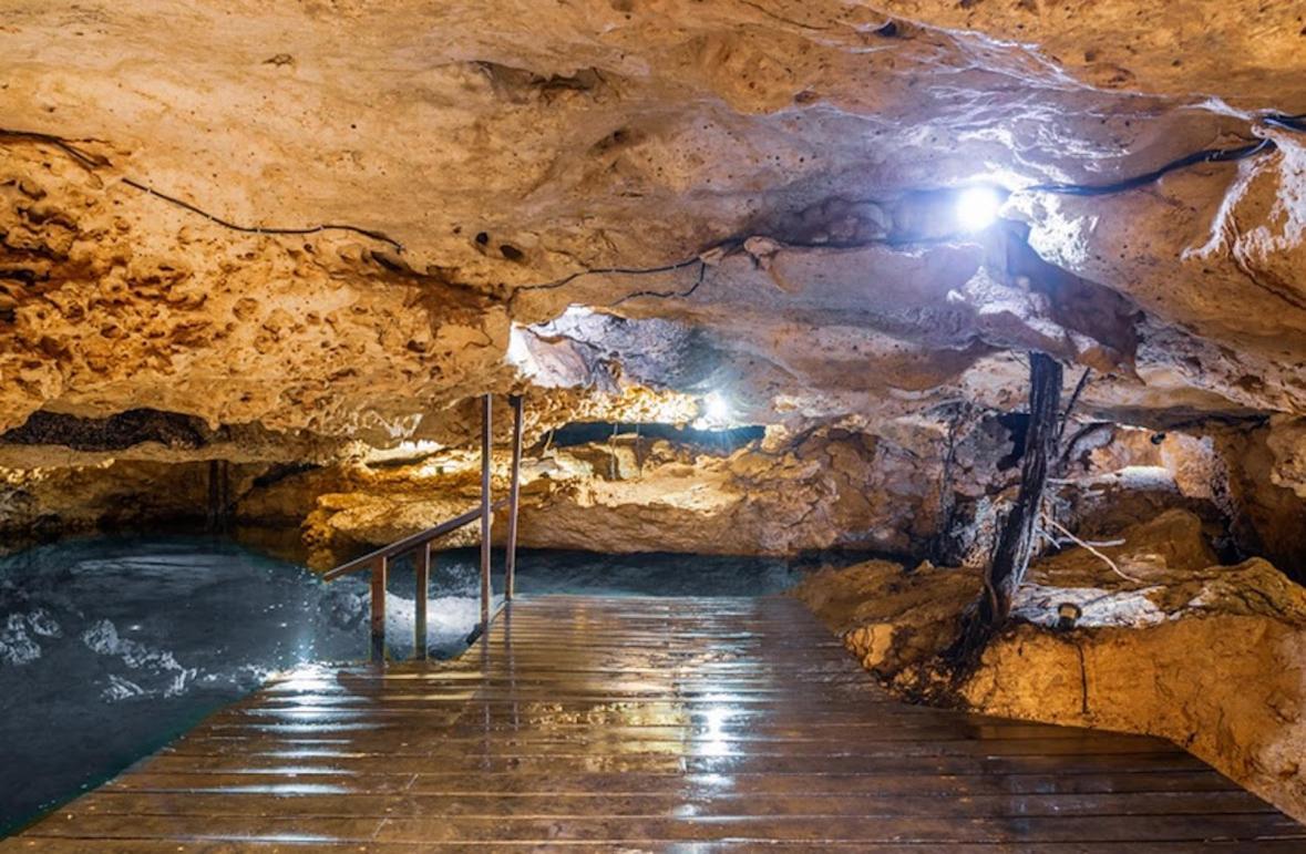 Apartment Casa Reina