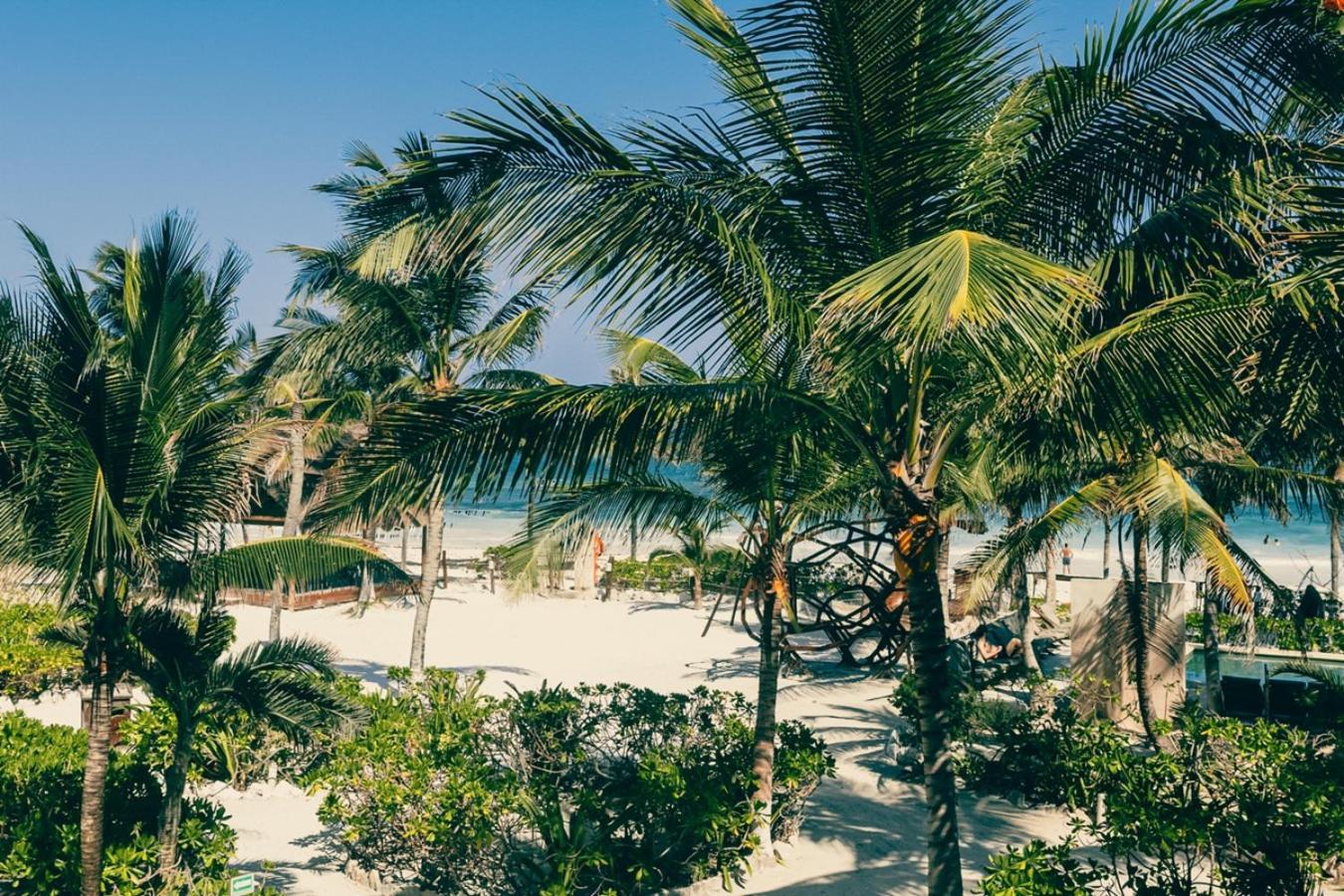Hotel Mia Beachfront - Ocean View And Club