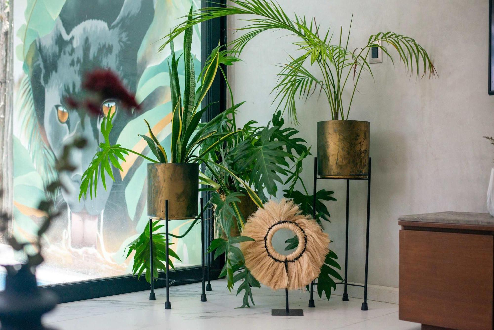 Stylish 3br In Luum Zama - Private Pool Holiday home Tulum