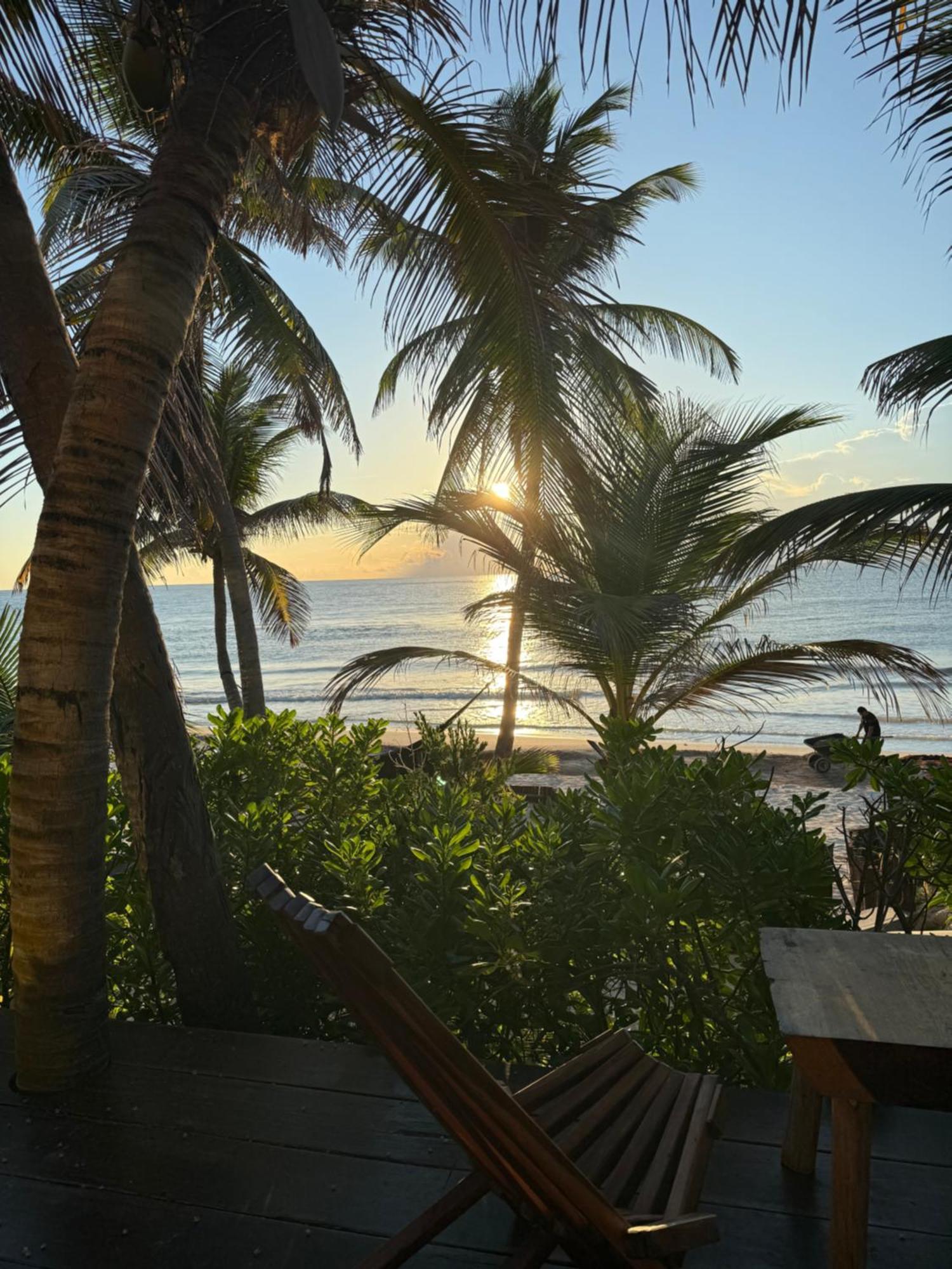 Hotel Libelula Beachfront 4*