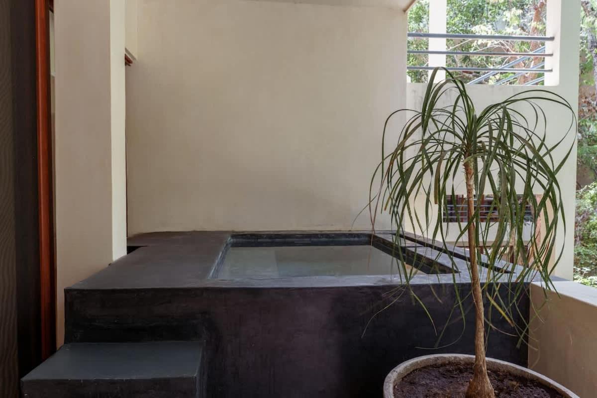 Holistika 3br Jungle Escape With Plunge Pool Holiday home *