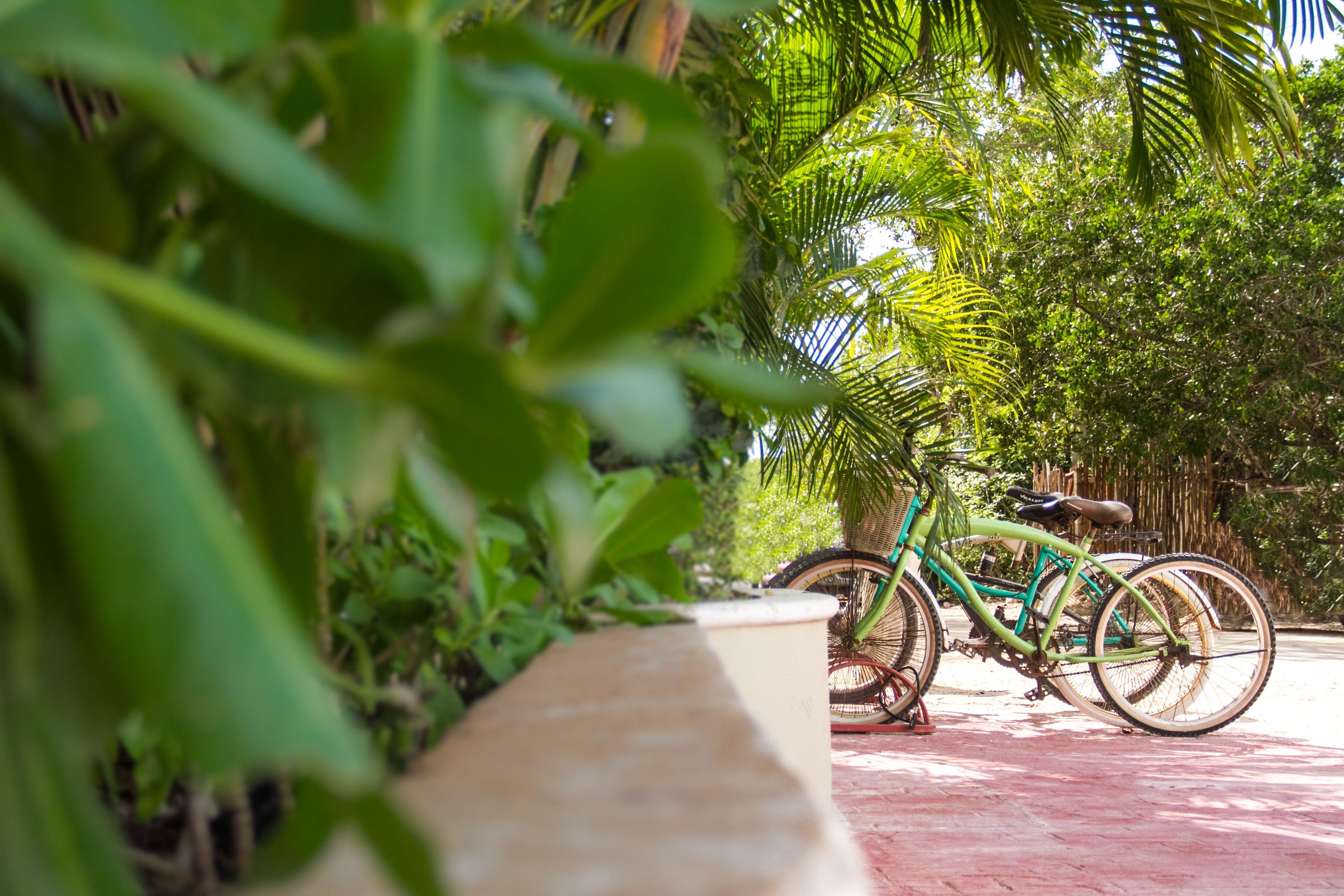 Mereva Hotel Tulum
