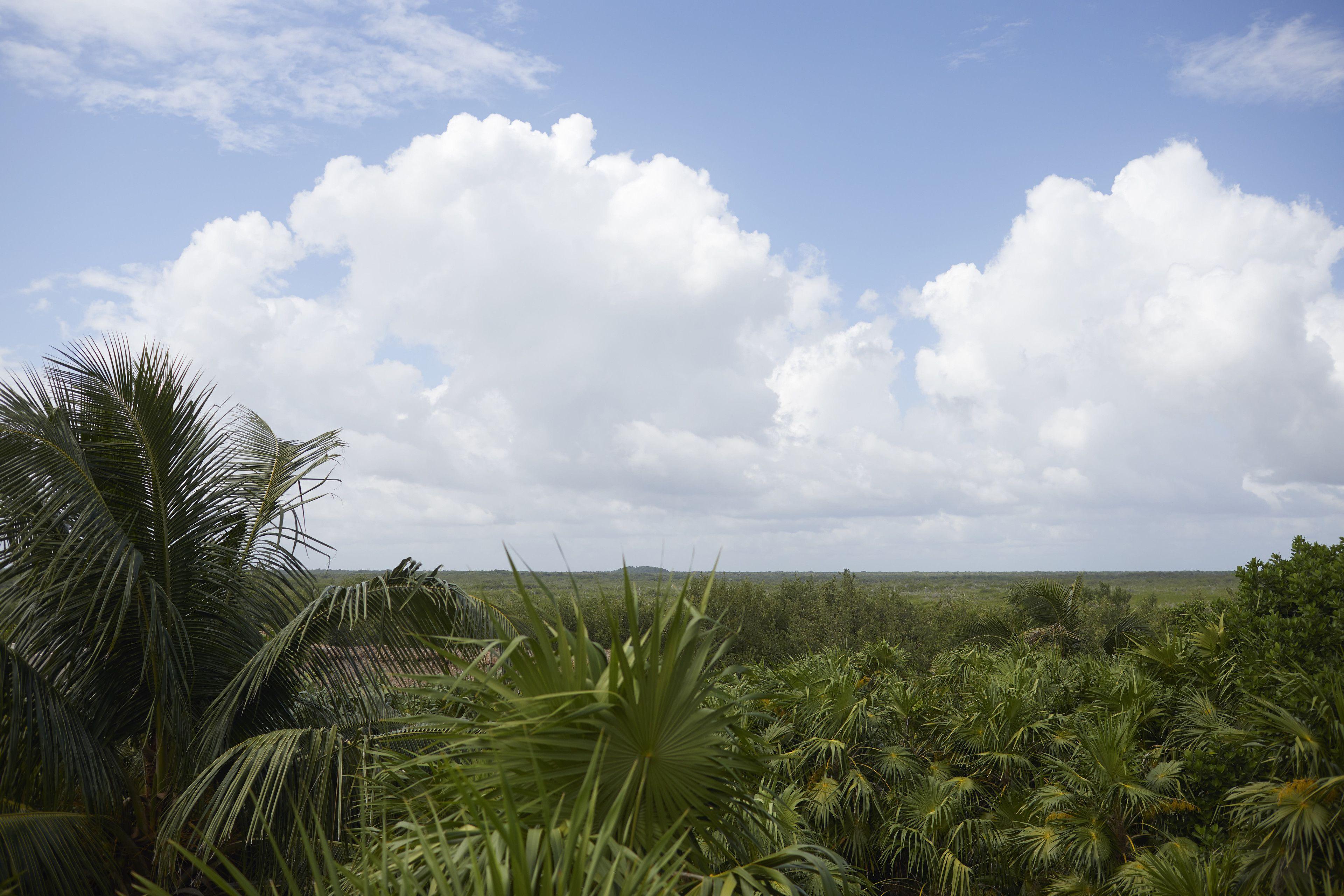 Lula Tulum, A Small Luxury