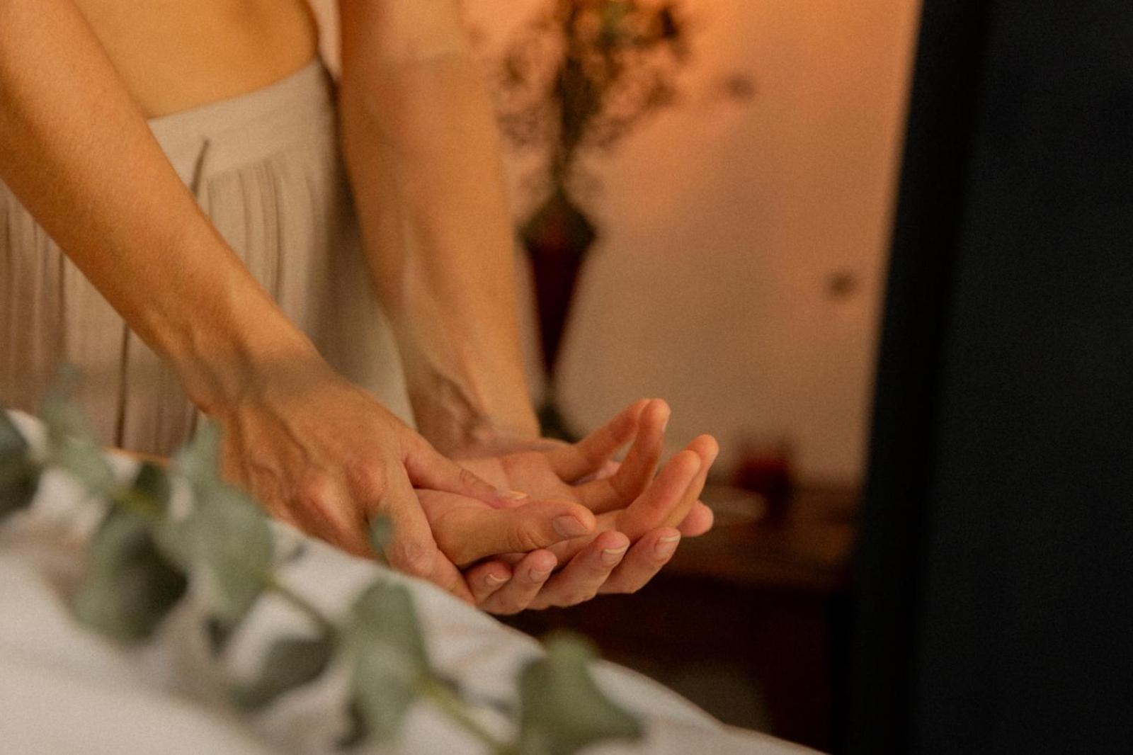 Cormoran & Cenote Hotel 3*