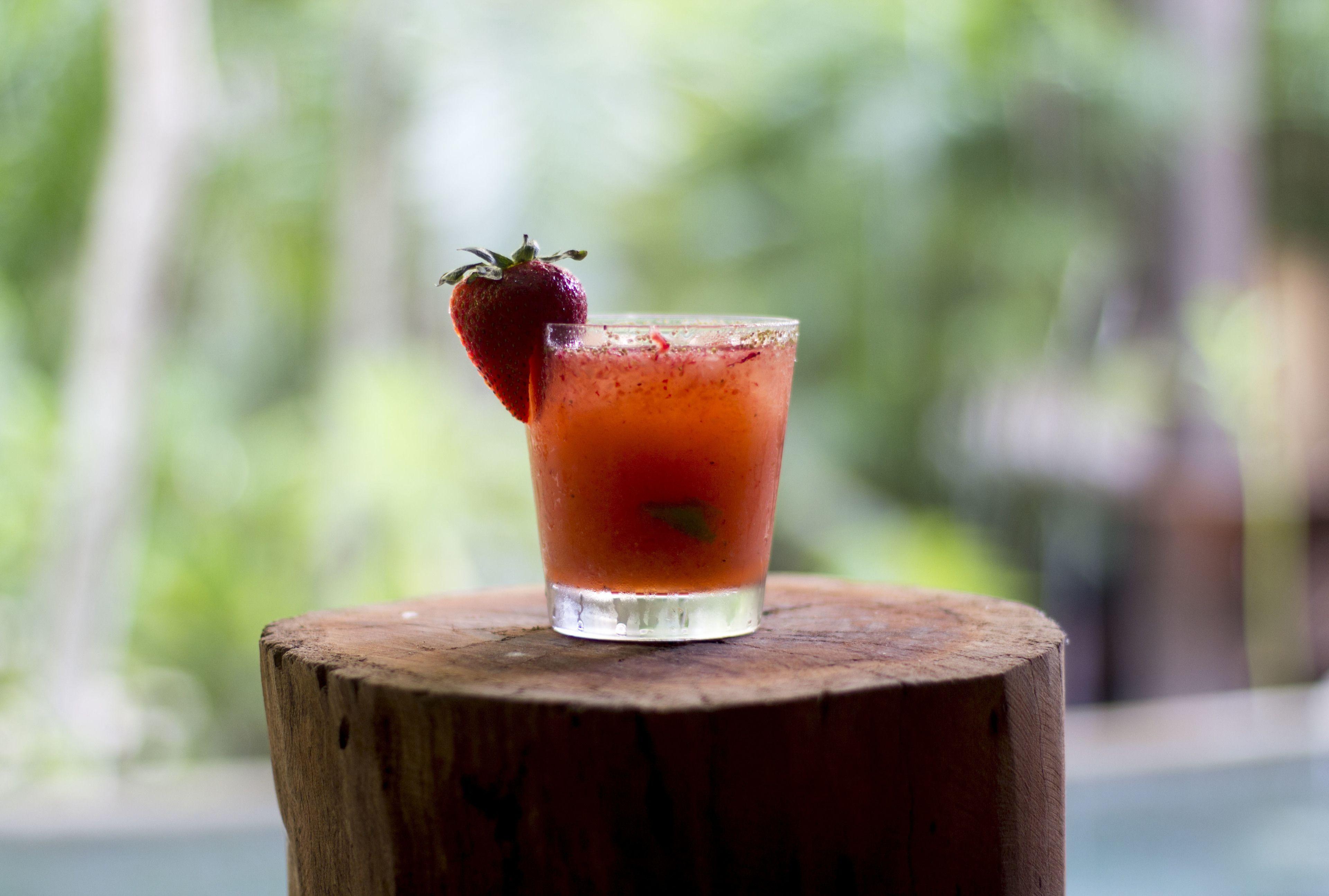 Hotel Orchid House Jungle 5*