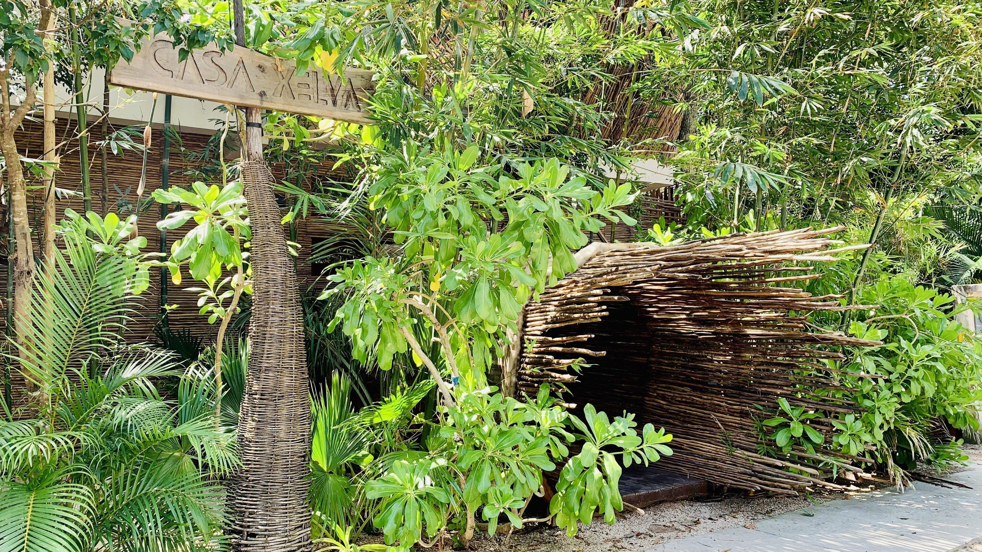 Hotel Orchid House Jungle