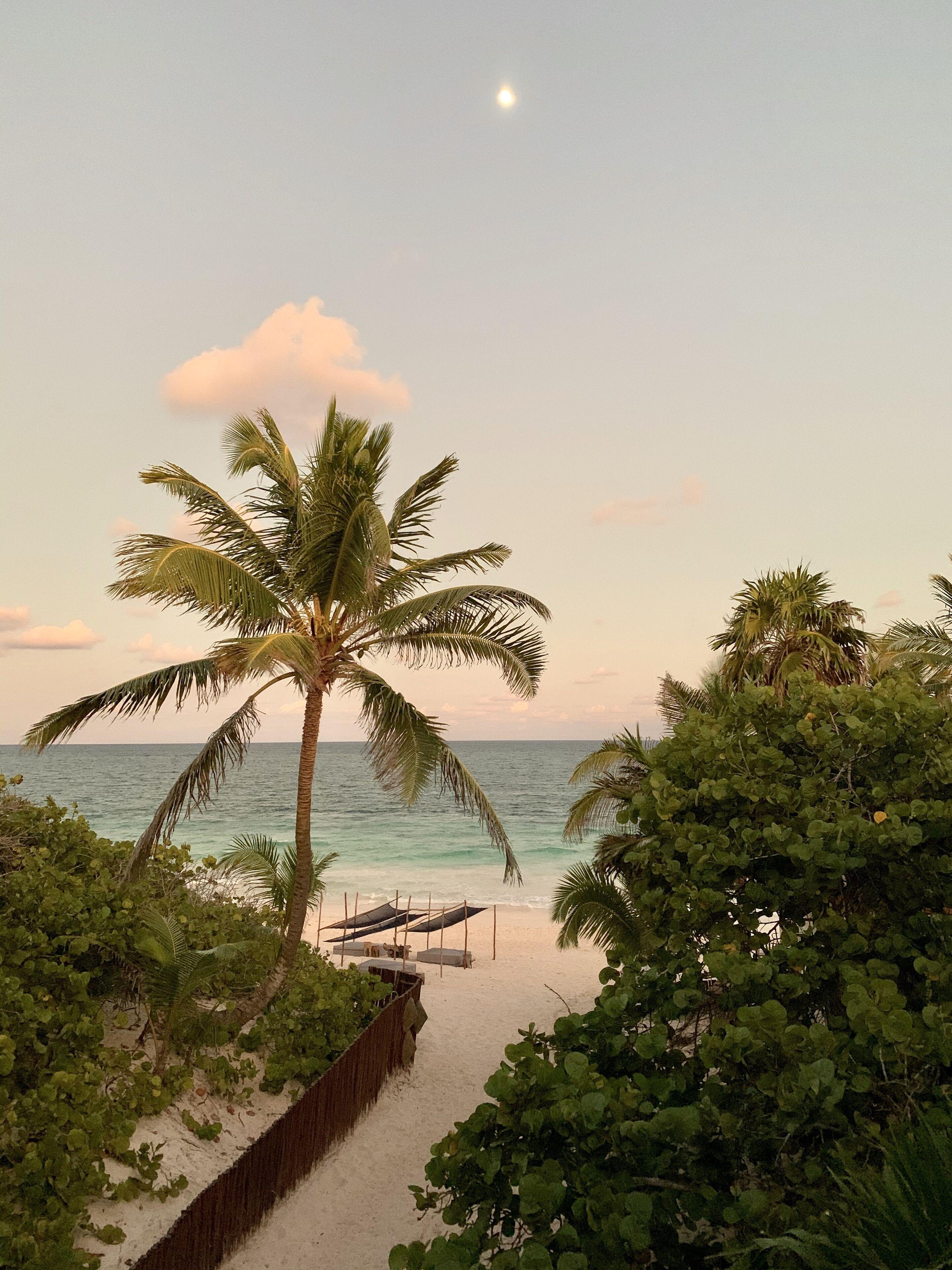 Libelula Beachfront 4* Tulum