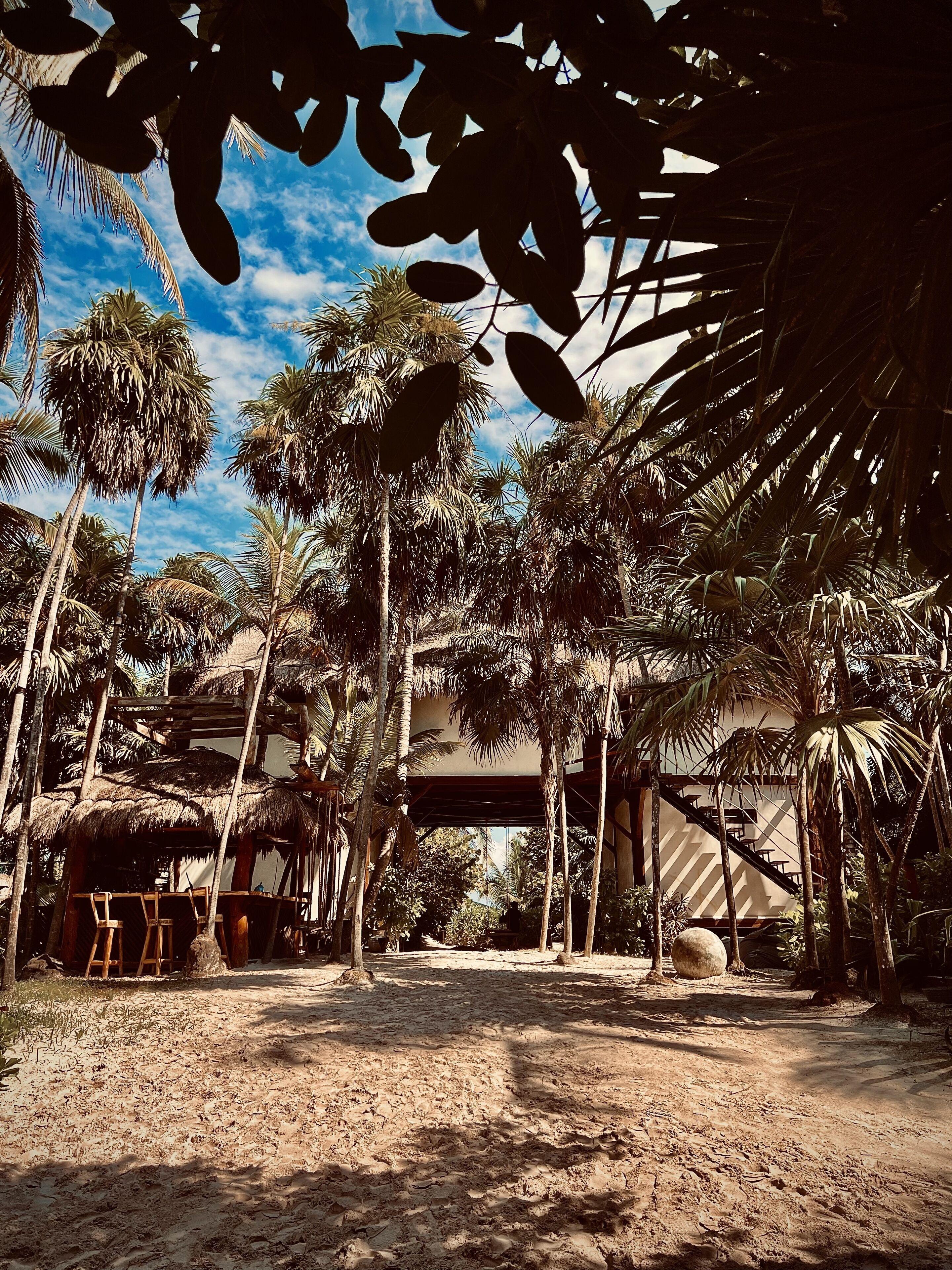 Hotel Libelula Beachfront Tulum