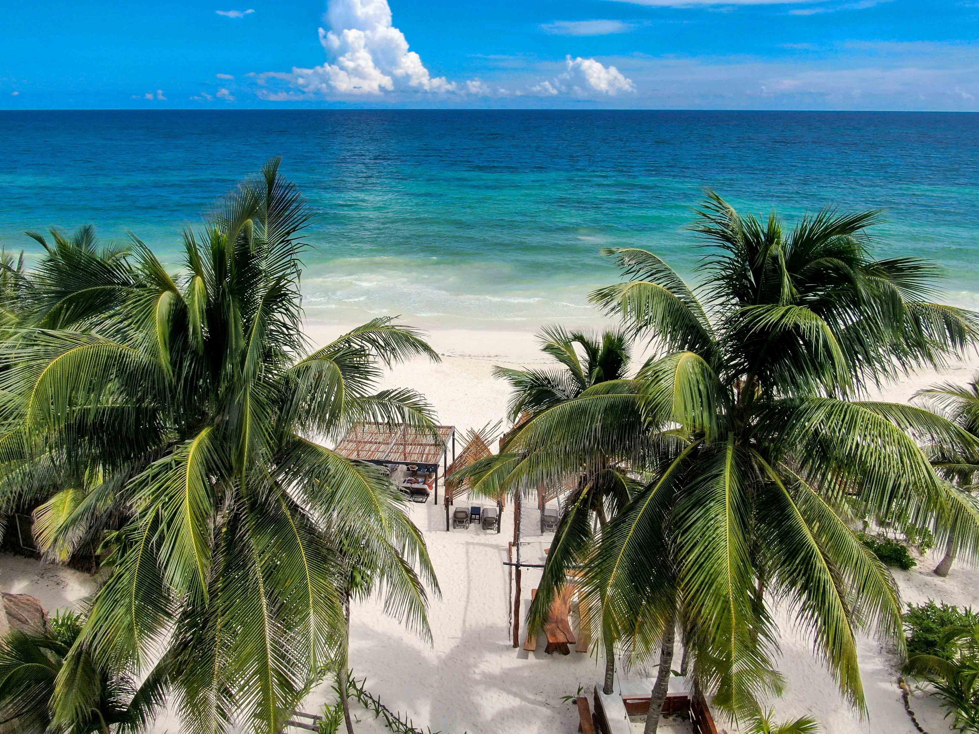 Bt Live Located At The Party Zone 4* Tulum