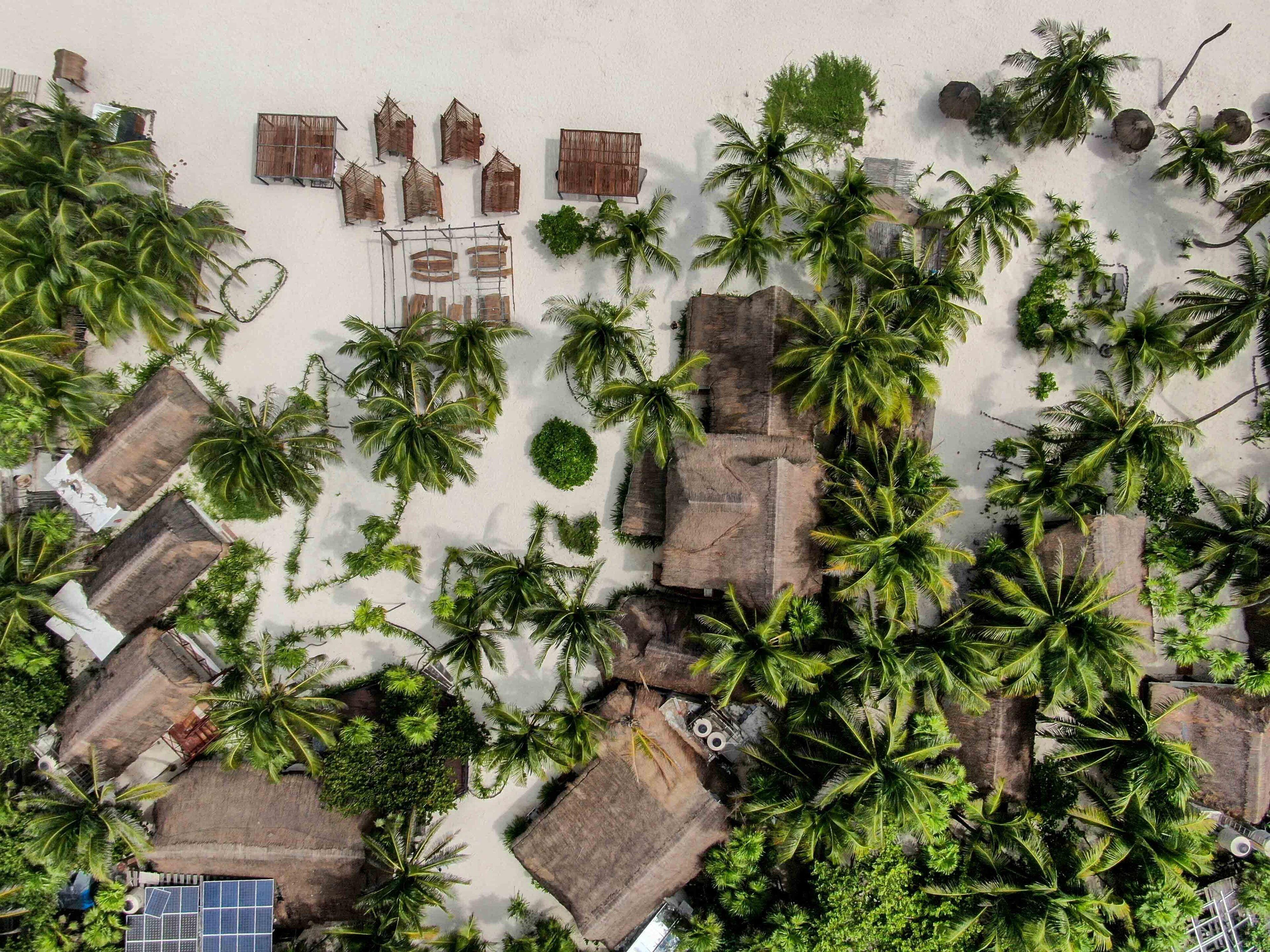 Bt Live Located At The Party Zone Tulum