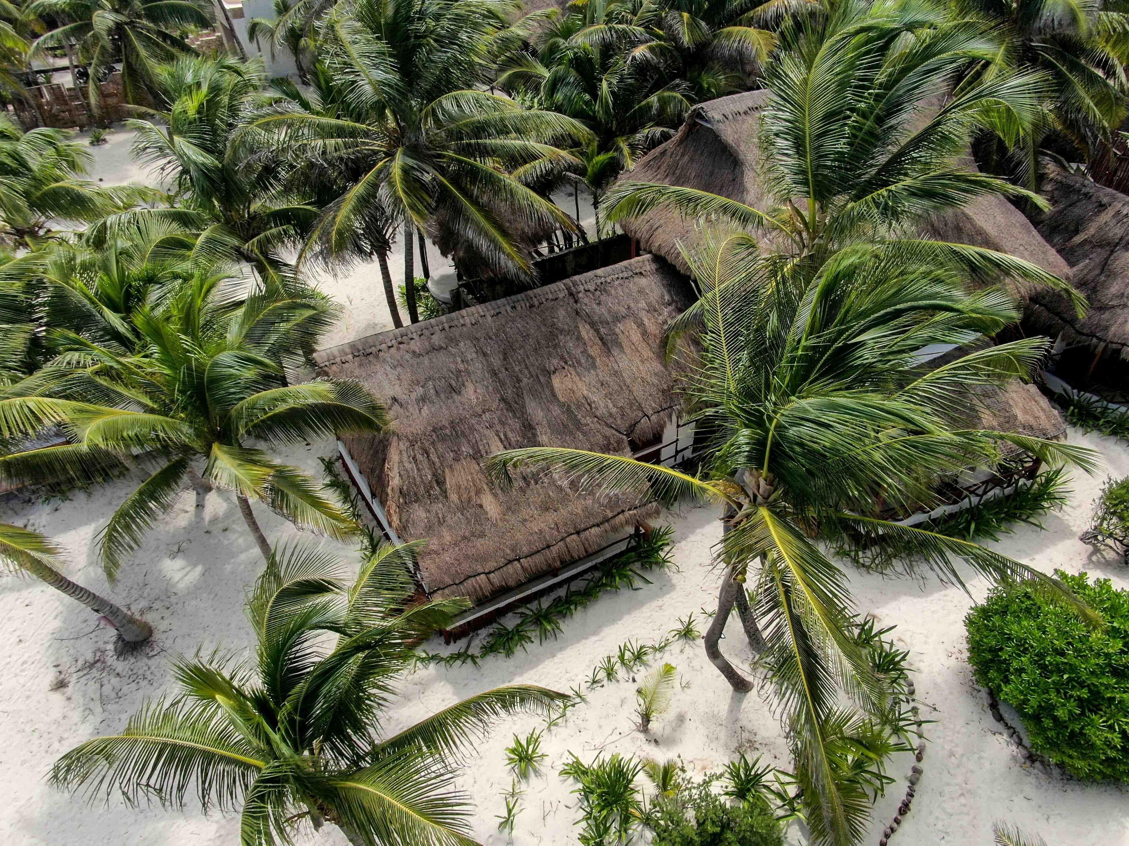 Bt Live Located At The Party Zone Hotel