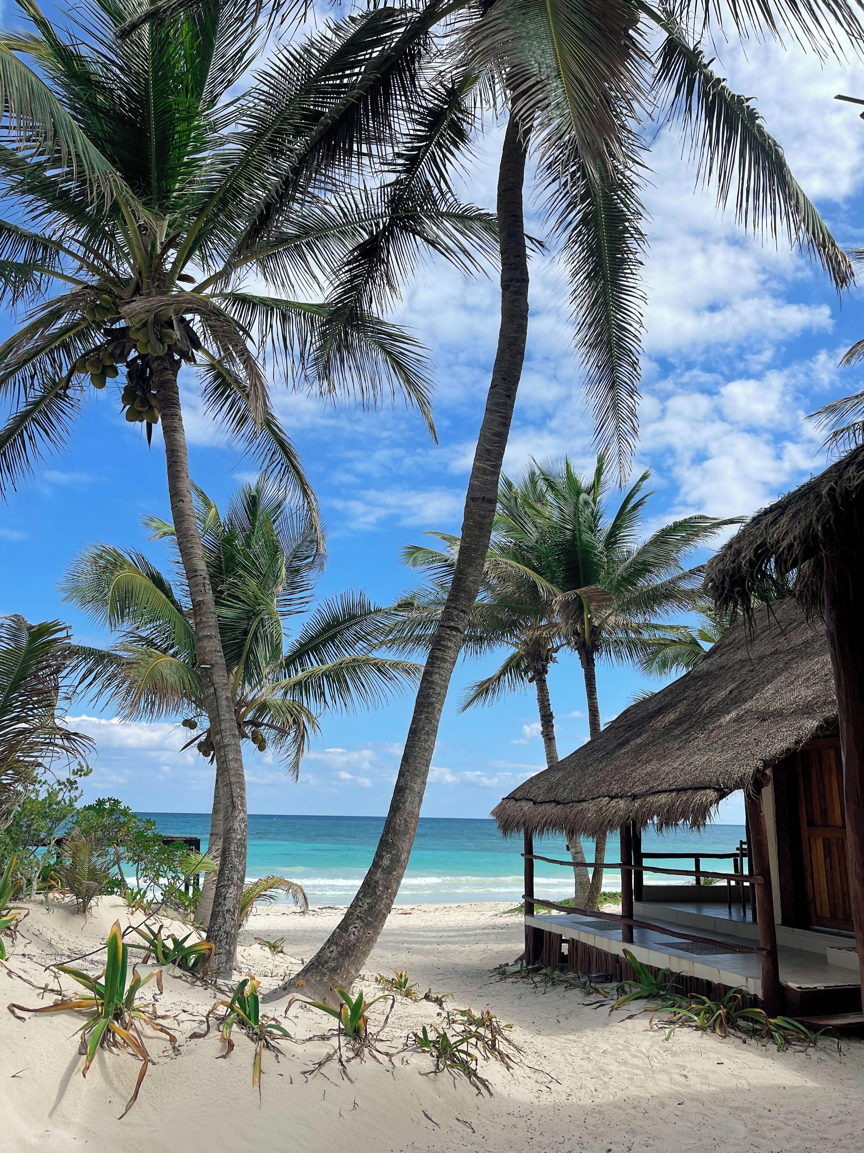 Hotel Bt Live Located At The Party Zone Tulum