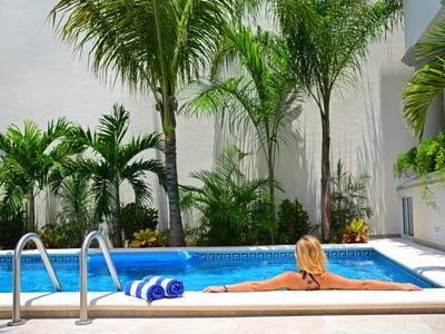 Palms