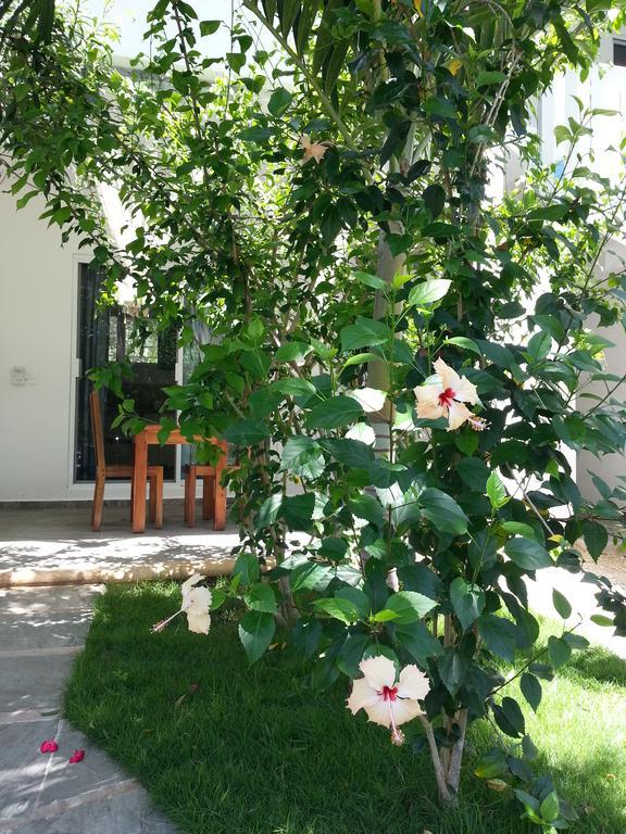 La Veleta - Robinson Apartment Tulum