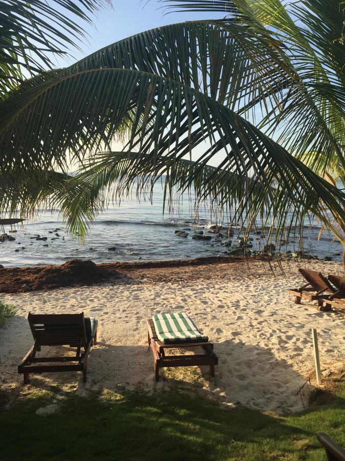 Bed & Breakfast Casa Cenote *