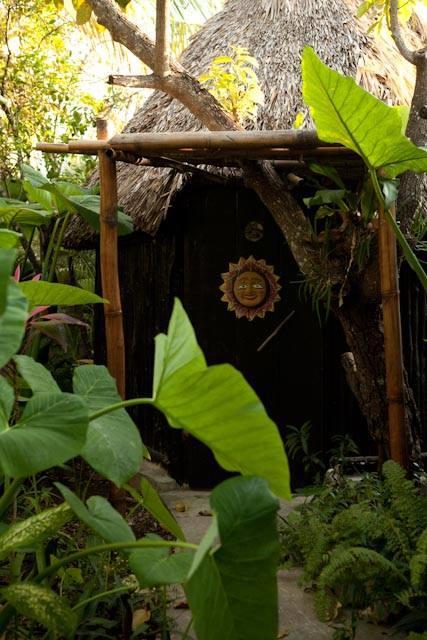 Rancho Tranquilo Hostel Tulum