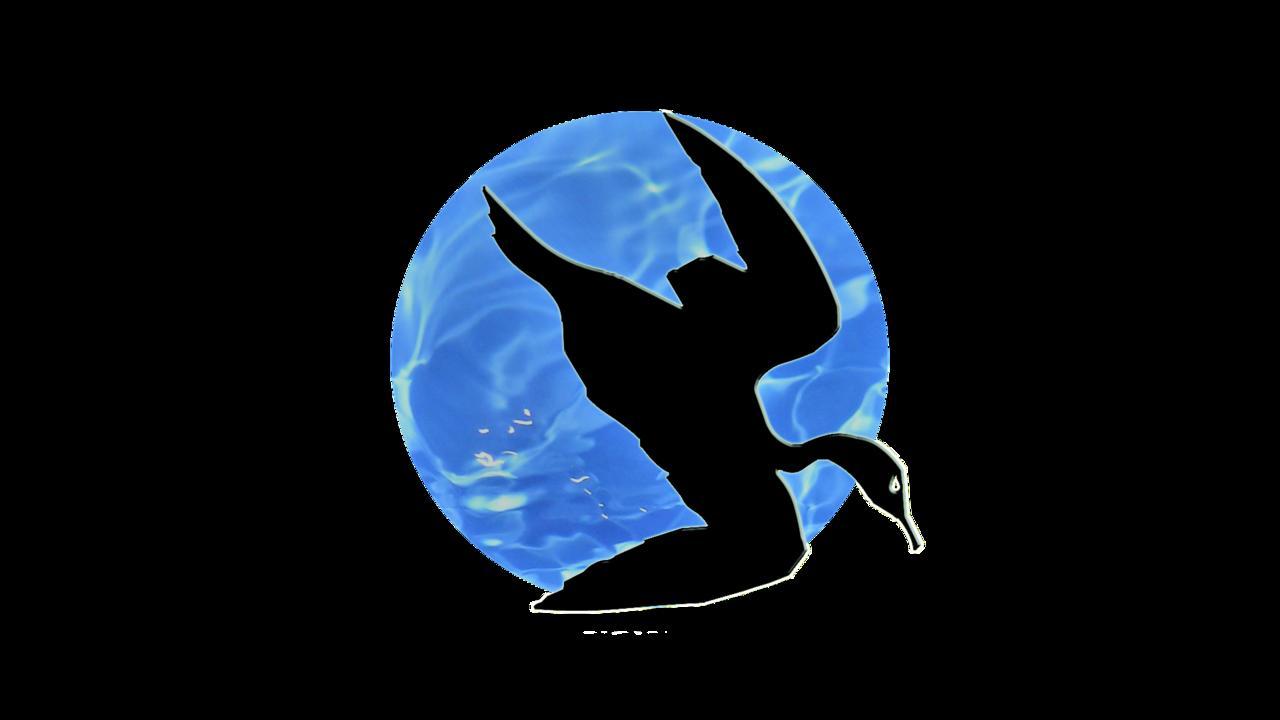 Hotel Cormoran & Cenote