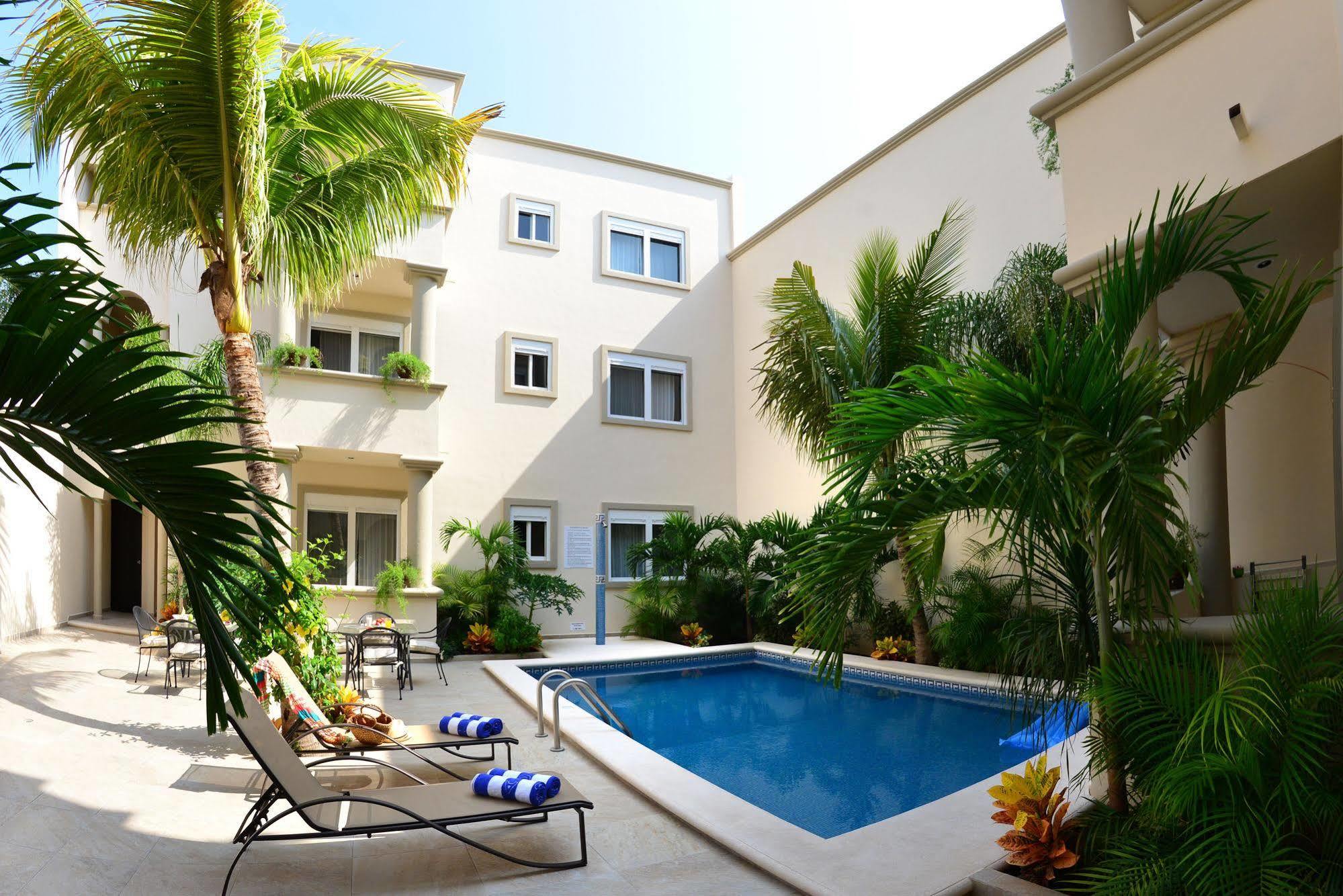 Palms