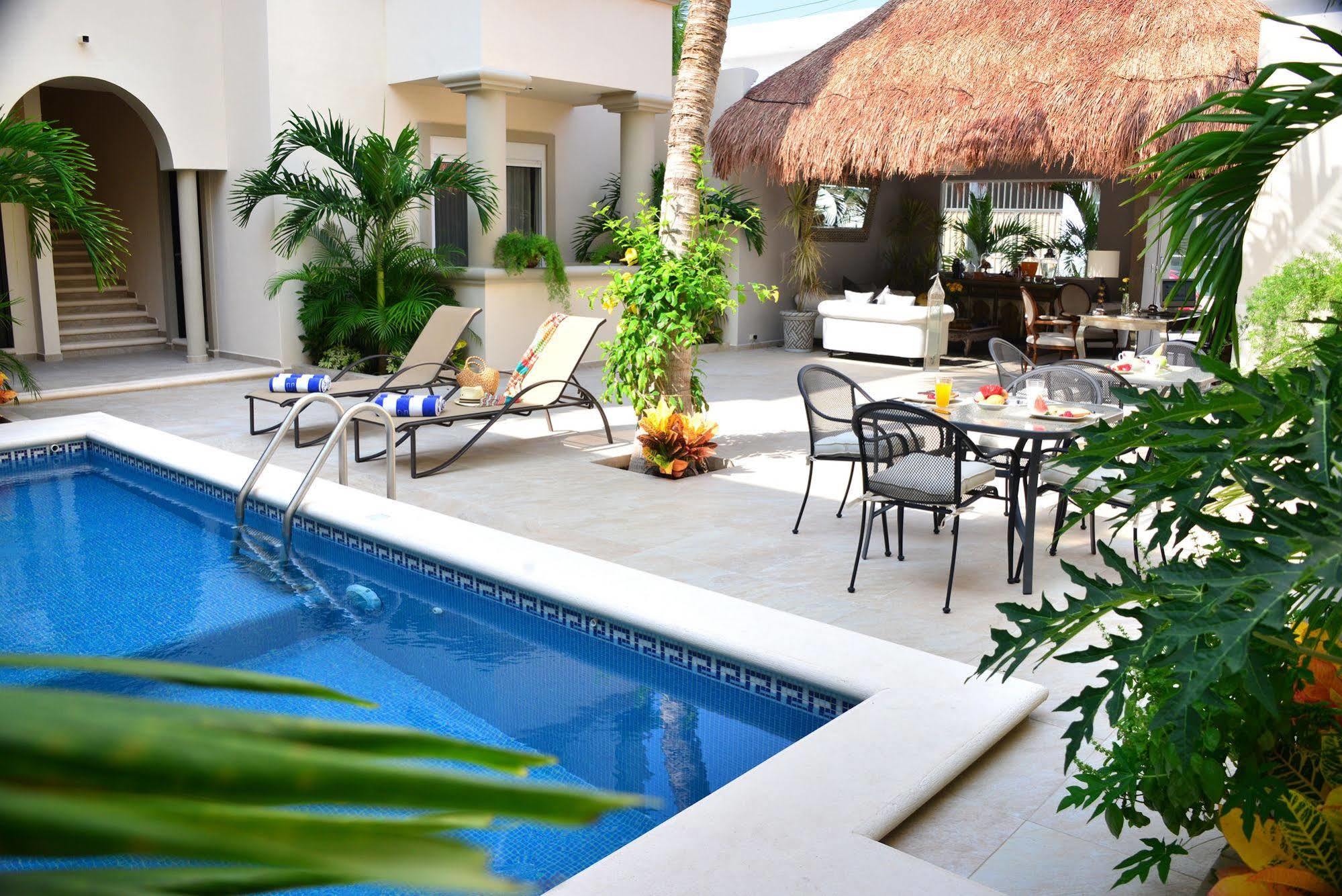Palms * Tulum