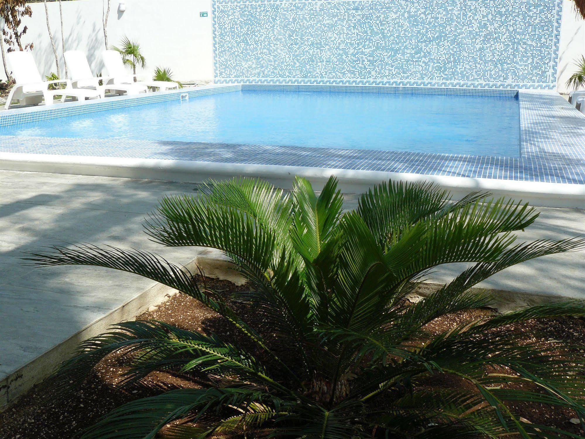 La Veleta - Robinson Tulum