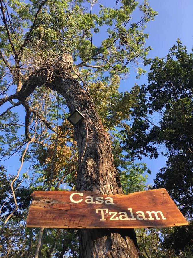Bed and breakfast Casa Tzalam Selva Tulum