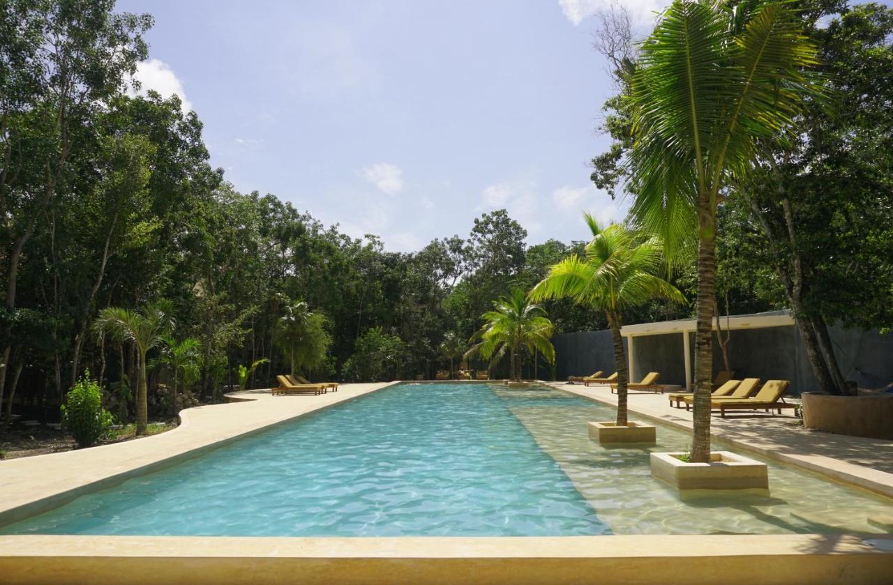 The Beehive Experience At Holistika Hostel