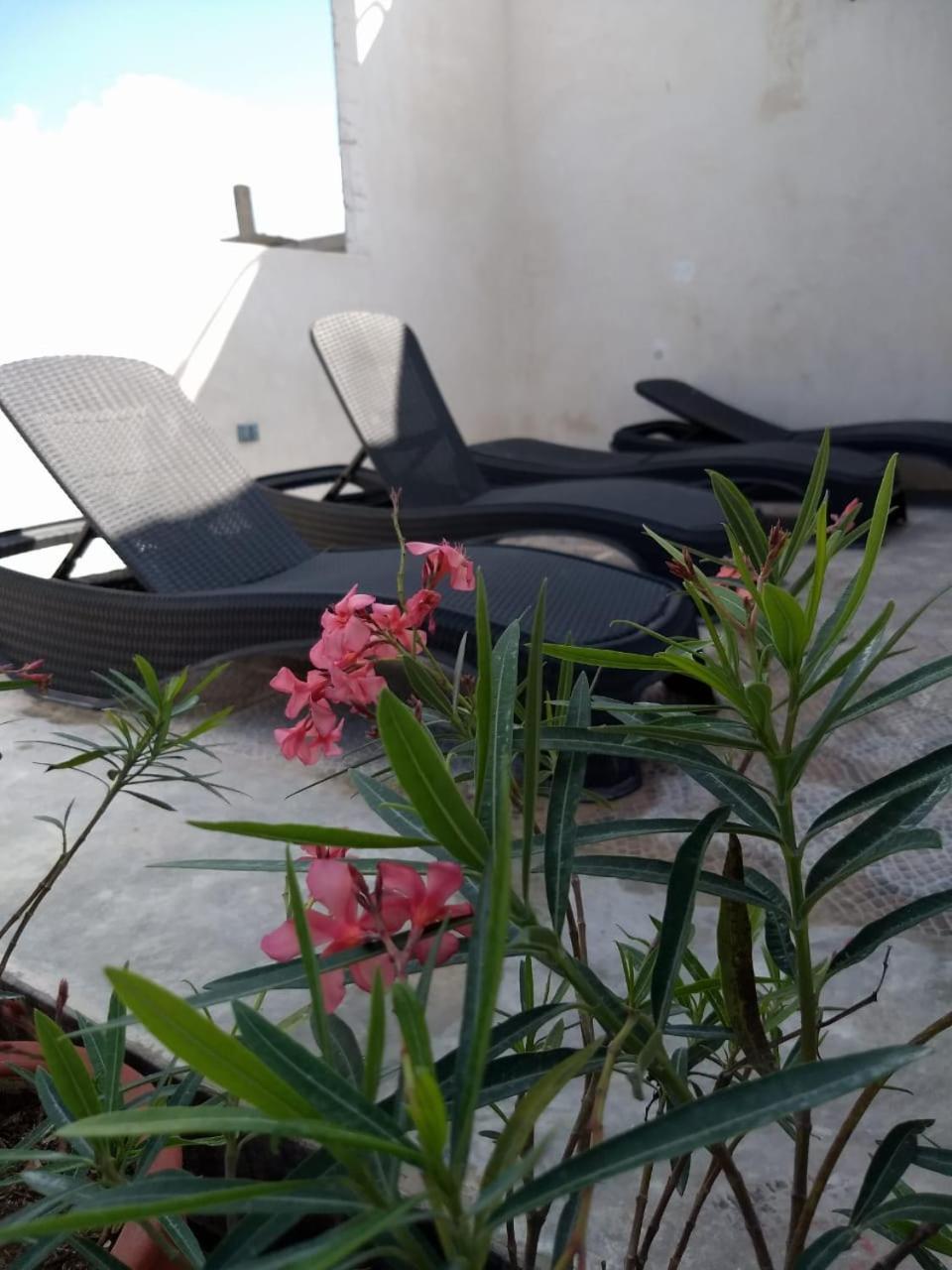 Sol-ha Boutique Hotel Tulum