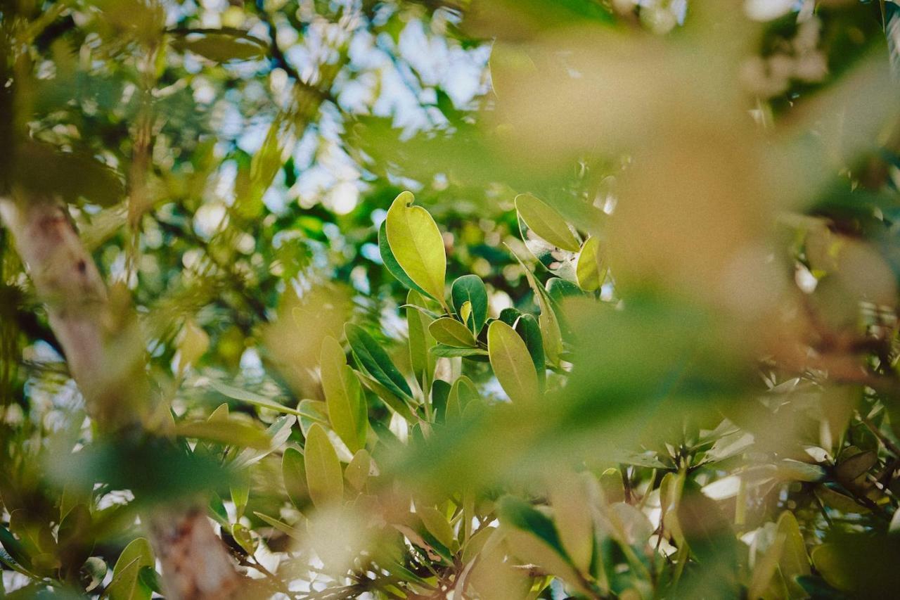 Casa Altamar Hotel 2*