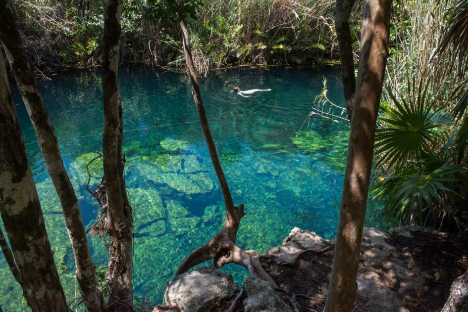 Jungle Casa Tulum