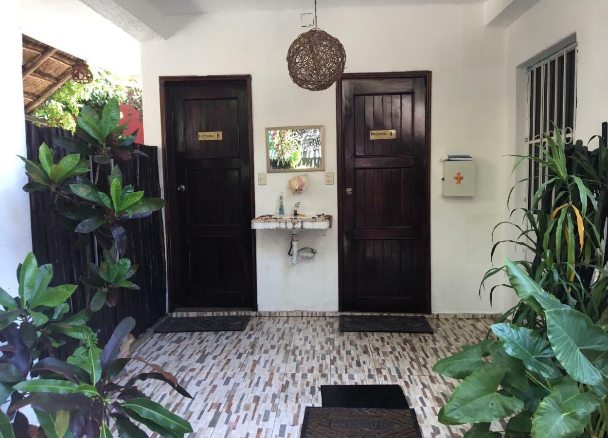 Cha Cha Cha Albergue Tulum