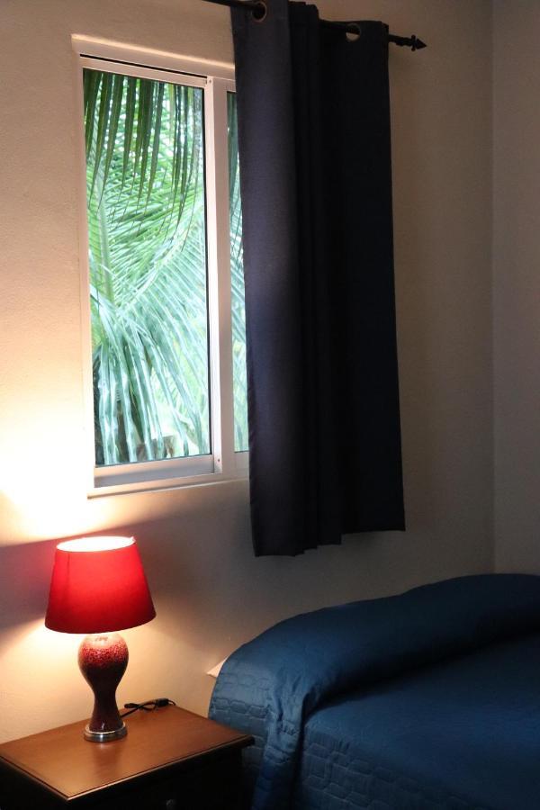 420 King Paradise Apartment *