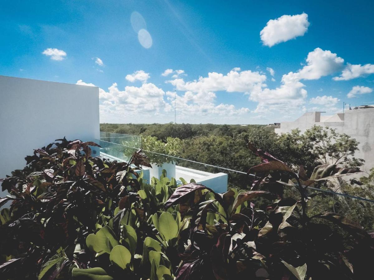 Brand New Two Br Penthouse With A Private Roof Patio! Totally Equipped.