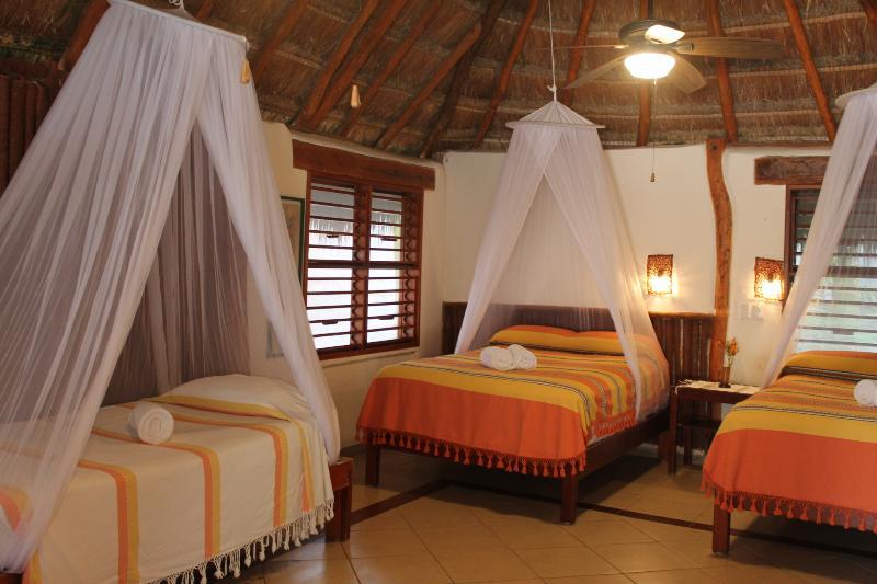 Bt Live Located At The Party Zone Tulum